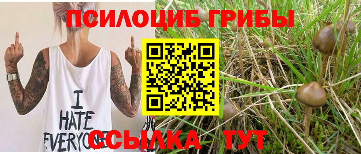 Слободской  Псилоцибиновые грибы мухоморы  Вход с VPN  Псилоцибиновые грибы Psilocybe 